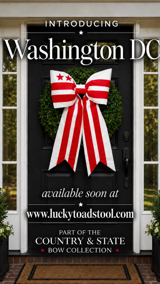 Washington DC Flag Bow | Missionary Farewell Decor | Large Front Door Bow