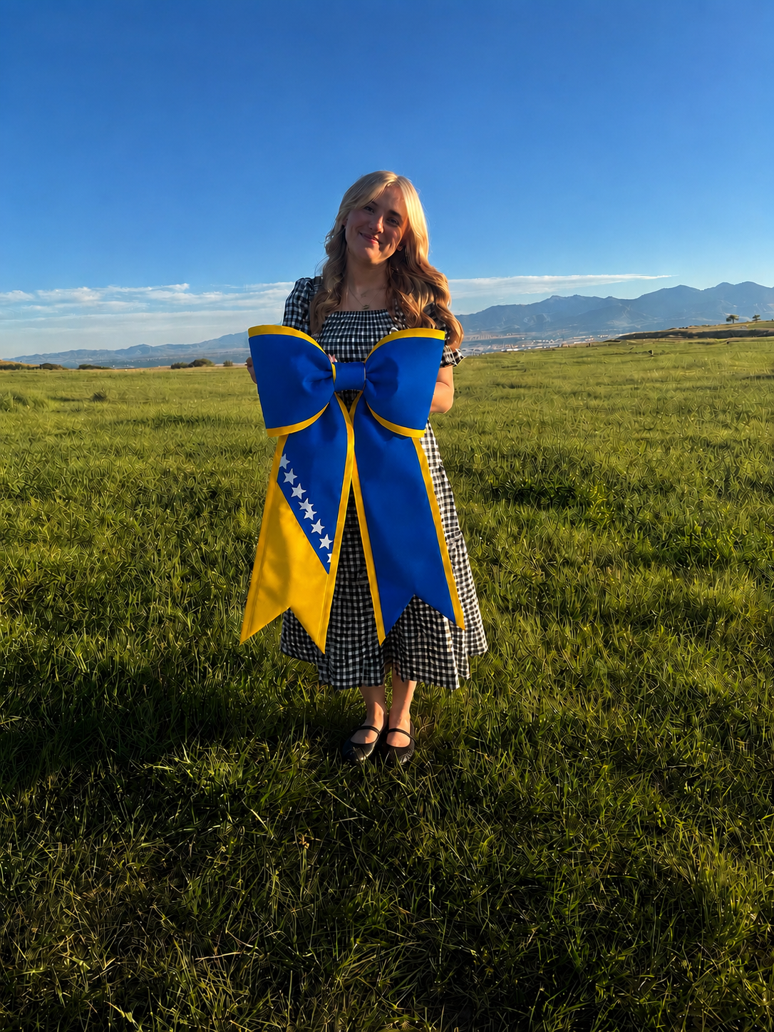 Bosnia & Herzegovina Flag Bow | Missionary Farewell & Country Pride Decor | Large Front Door Bow